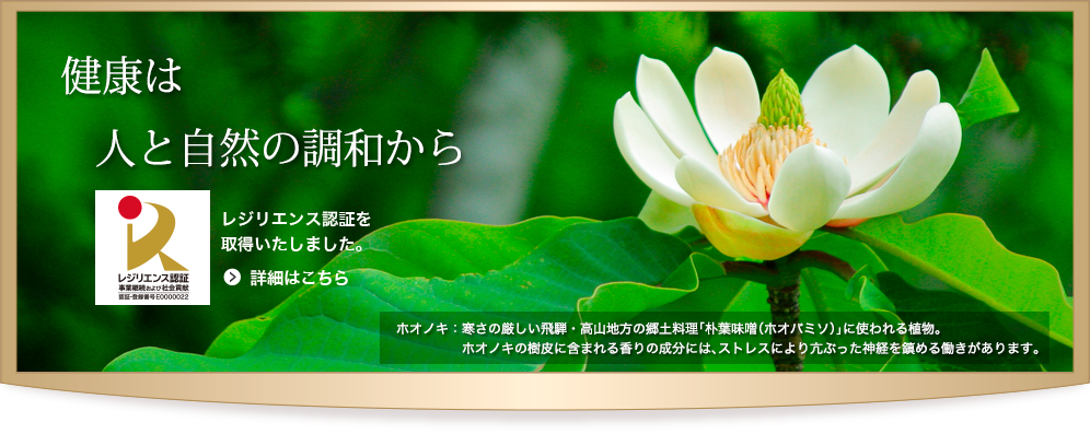 剤盛堂薬品強冒眩散 キョウボウゲンサン 60包×5 300包 漢方製剤