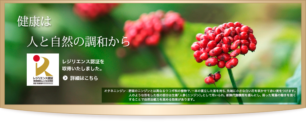 オタネニンジン