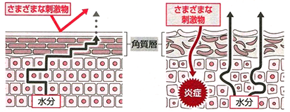 図『きょうの健康』より