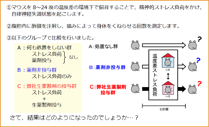 図３