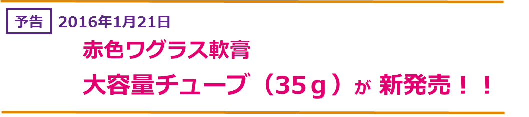 タイトル