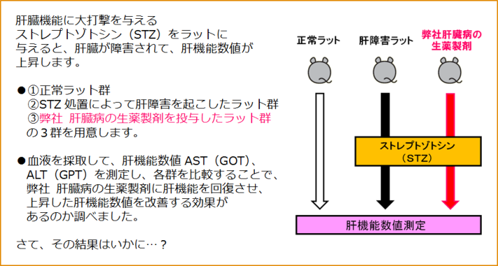 図２