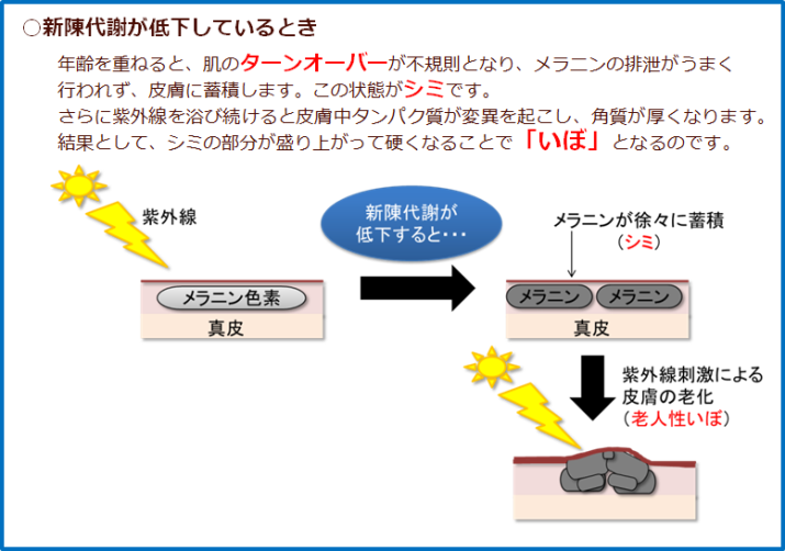 首 イボ オロナイン