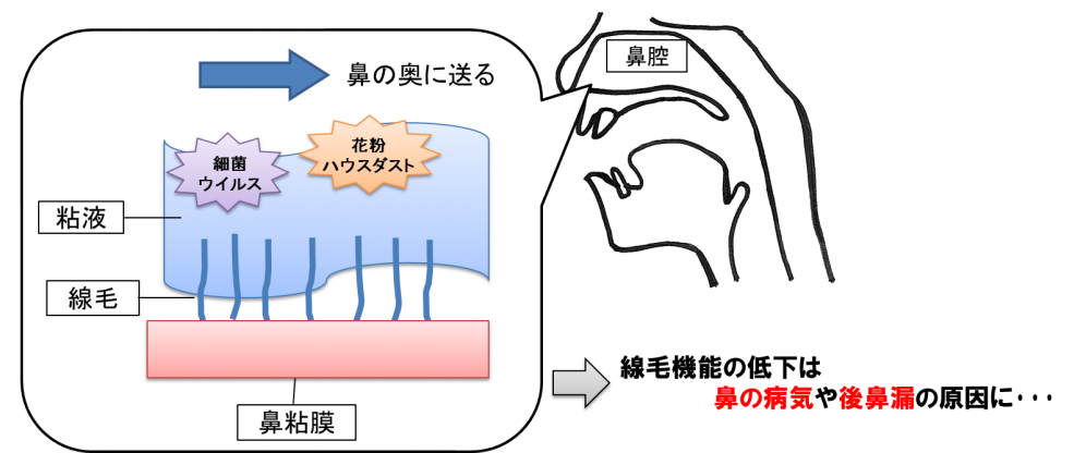 漏 後 治し 方 自力 鼻